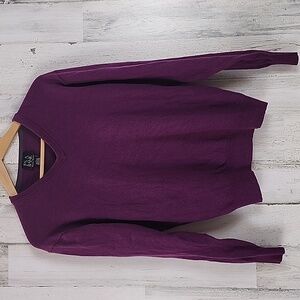 Jos A Banks purple plum 100% Italian Merino wool vneck sweater Size Large
